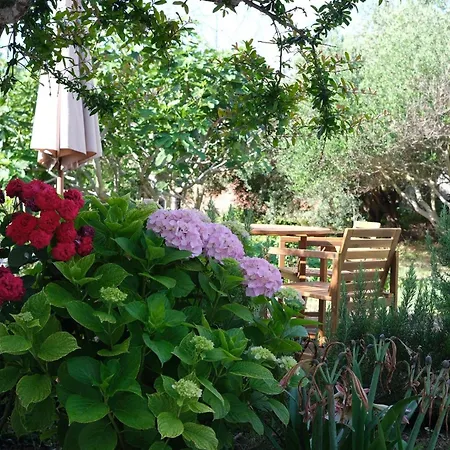 Mali Ivo Appartement